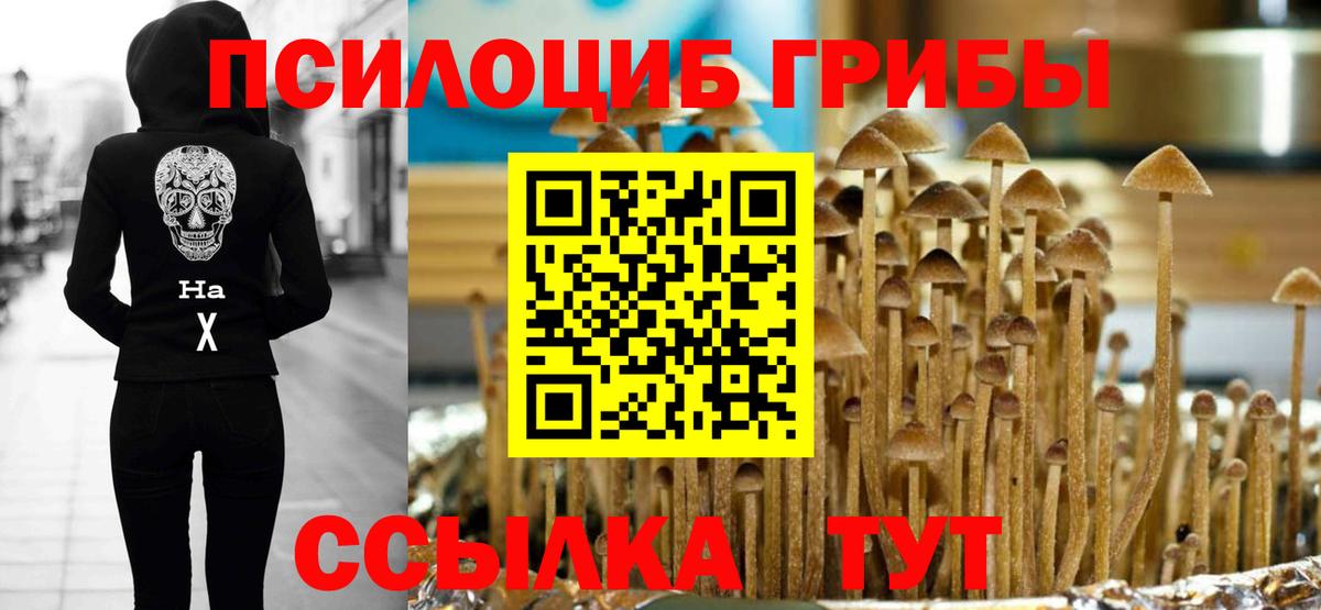 Гагарин  Галлюциногенные грибы ЛСД  что такое   Вход с VPN 